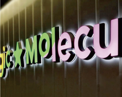 表面 + 裏板発光樹脂チャンネル文字