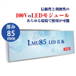 LMU-10006