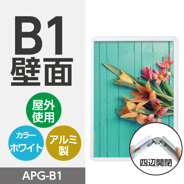apg-b1